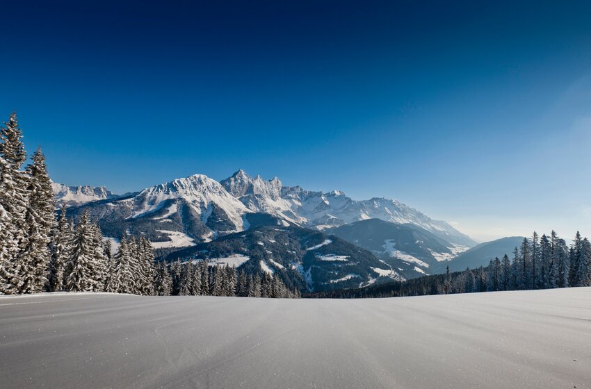 Snowy clearing with view of the Dachstein massif and winter forests under a clear sky. | © Bergbahnen Filzmoos GmbH