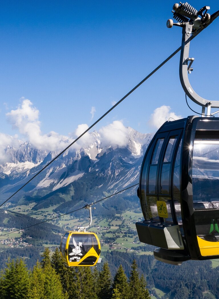 Black Planai gondolas with yellow logo ride over forests, with the Dachstein mountains and small summer clouds in the background | © Planai-Hochwurzen-Bahnen GmbH
