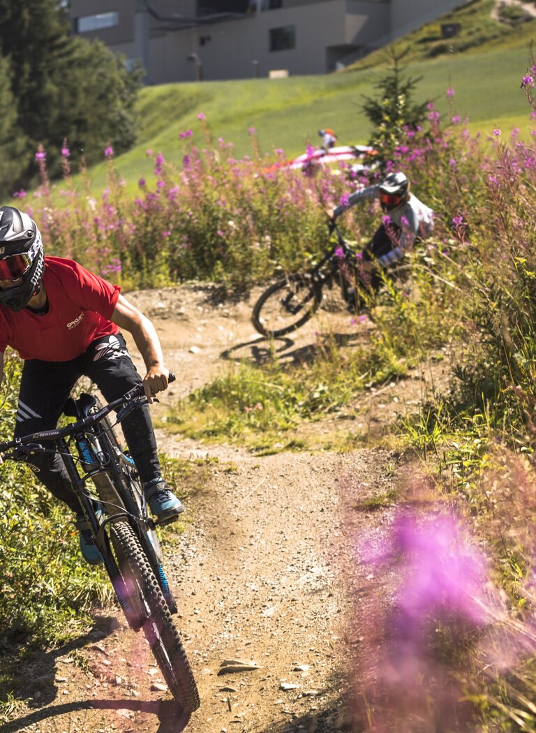 Zwei Downhill-Biker fahren auf der Planai durch einen blühenden Trail, nahe der Bergstation, umgeben von Wald und Wiesen | © Planai-Hochwurzen-Bahnen GmbH